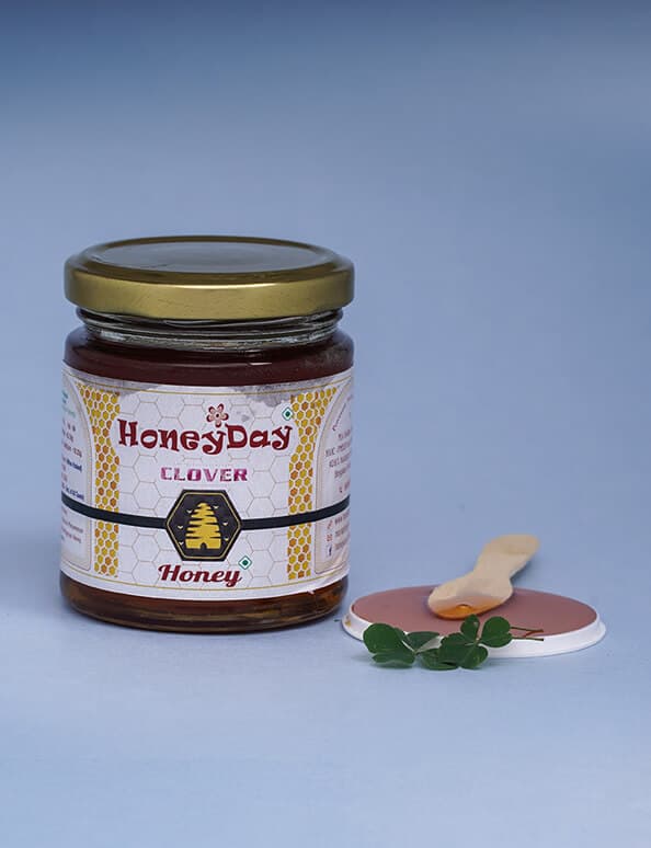 HoneyDay Clover Honey